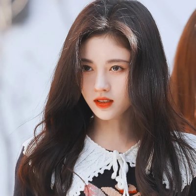 101朵玫瑰